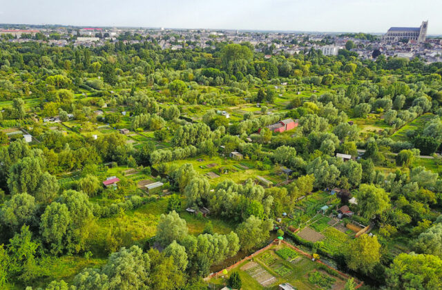 Balade d’initiation à la reconnaissance des plantes sauvages 3h00 à 15 € dans les Marais de Bourges