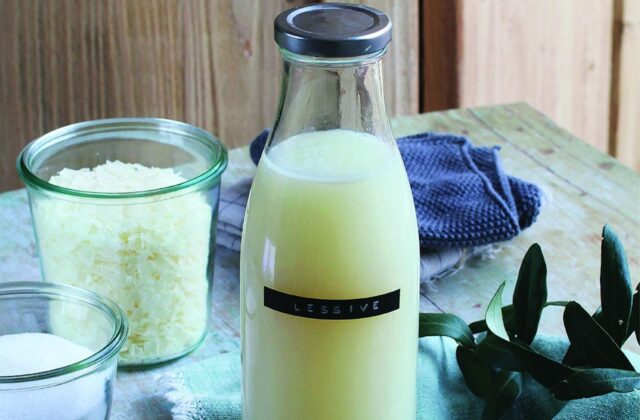 Atelier fabrication de 3 produits ménagers – Limeil-Brévannes