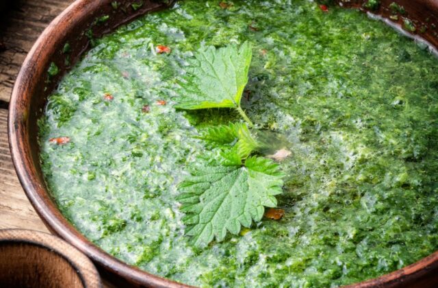 Soupe d’ortie