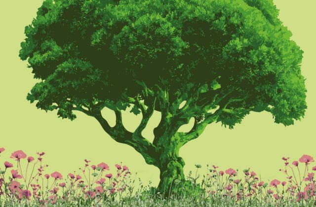 Fête de la Nature Gaïa – Morangis