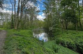 Initiation à la reconnaissance des plantes sauvages – Fontenay-le-Vicomte